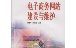 电子商务专业的技巧书籍