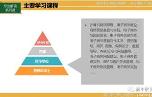 电子商务专业必修科目