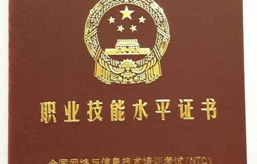 电子商务专业都什么证书