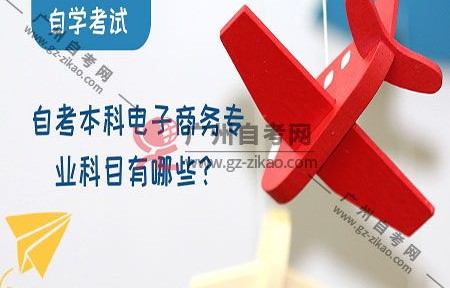 电子商务专业有自考吗
