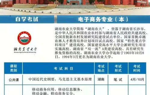 中南大学的电子商务专业