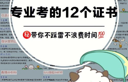 电子商务专业要考的