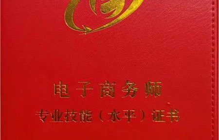 1 x证书电子商务专业