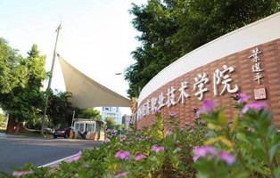 广州涉外电子商务专业