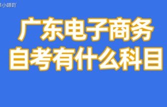 电子商务专业学到的好处