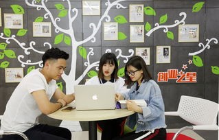 学生说电子商务技术专业