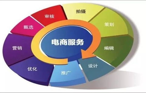 电子商务专业几大类