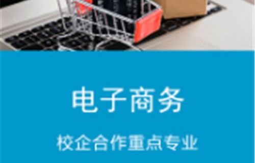什么是科技电子商务专业