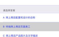 专业电子商务师题库