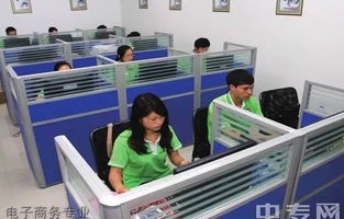 专科电子商务专业的工作