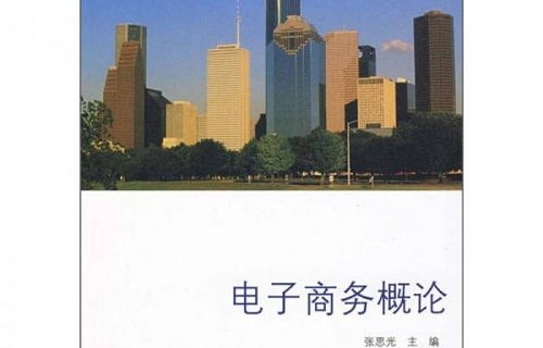 电子商务专业素养怎么写