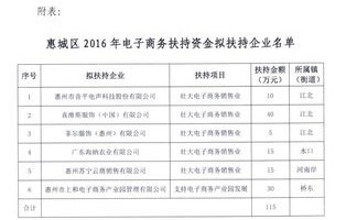 惠城的电子商务专业