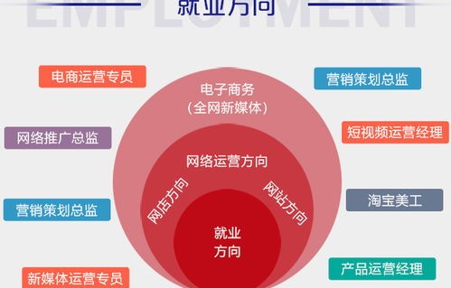 电子商务专业市场前景