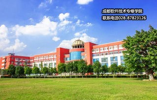 川大锦城电子商务专业