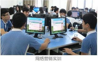 学电子商务这个专业怎样