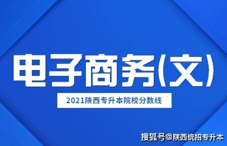 本科文科的专业电子商务