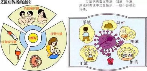 我国发现一起猴痘聚集性疫情，多措并举全力防控