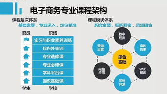 大学电子商务专业理论