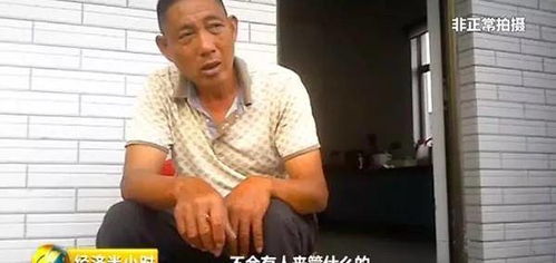 潘宏称艾特曾咬折女主人胳膊，一场离奇的宠物咬伤事件引发的社会关注