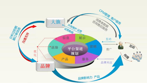 如何回答电子商务专业