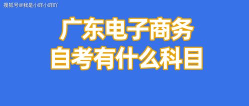 电子商务专业自考班