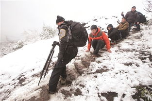 游客雪后登山滑倒险坠梯