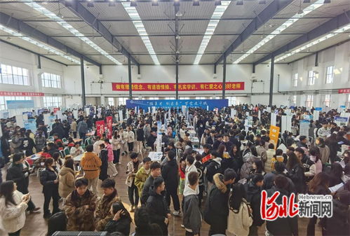路北区专业电子商务公司