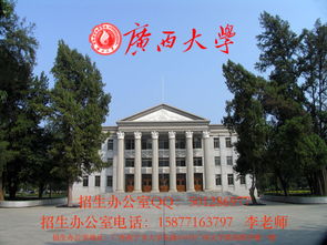 广西大专电子商务专业